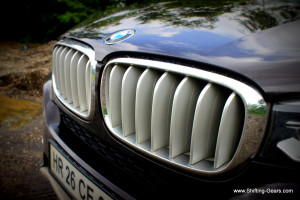 The bonnet shut line over the kidney grille does leave a noticeable amout of gap