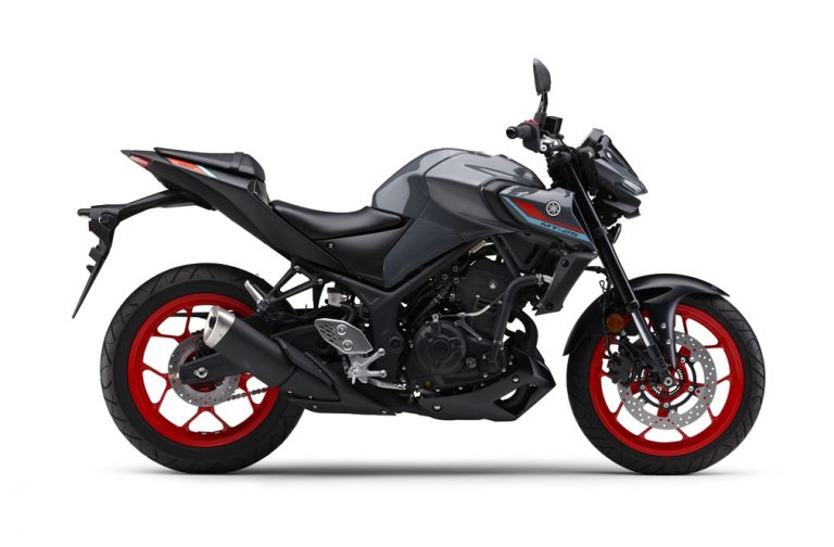 2021 Yamaha MT25 / MT03 facelift revealed – Shifting-Gears